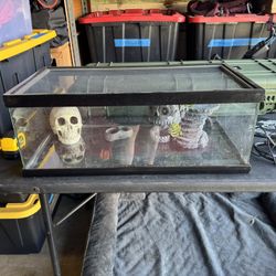 Reptile Setup With Enclosure, Heat And Extras