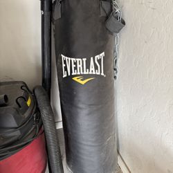Everlast Punching Bag 
