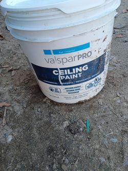 Valspar pro high hide ceiling paint