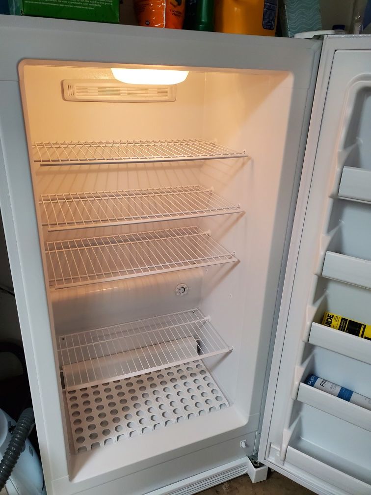Full size upright refrigerator, all fridge
