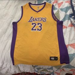 Lebron James Jersey