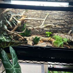 We Make Terrariums For You