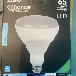 12 Pack Led Bulb Day Light