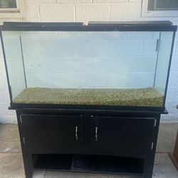 65 Gallon Fish Tank / Aquarium 