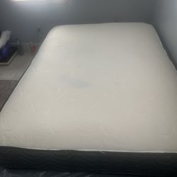 2 Full Size Mattresses 40 For Both