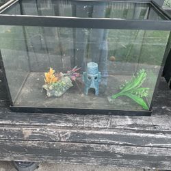Fish Tank 