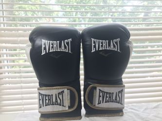 Everlast 16 Oz Power Lock  Boxing Gloves
