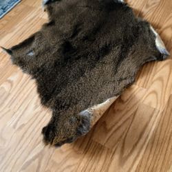 Deer Hide