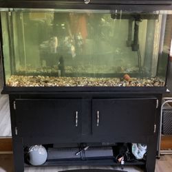 55-75 Gallon Tank With Stand