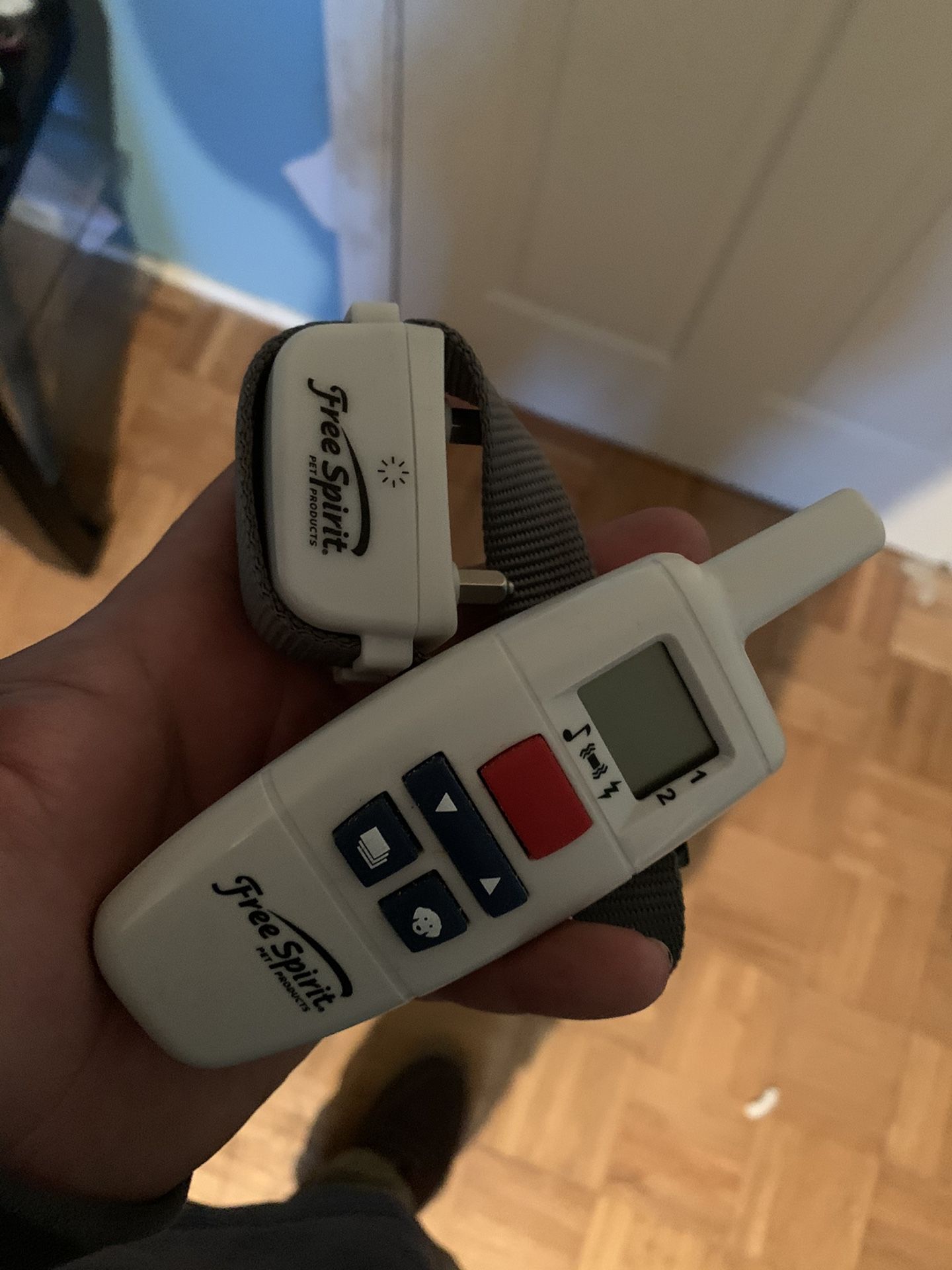 Dog Training Shock Collar