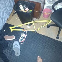 Assist 24 Redline Frame