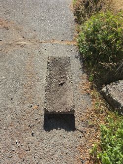 Concrete downspout diverter