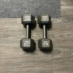 25 lb dumbbells online for sale