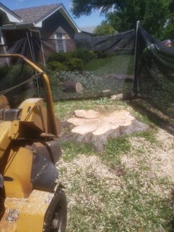 Stump Grinding 