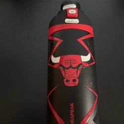 NBA Oasis 20oz - Chicago Bulls 