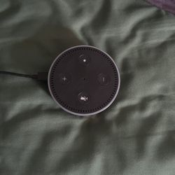 Amazon Alexa Dot