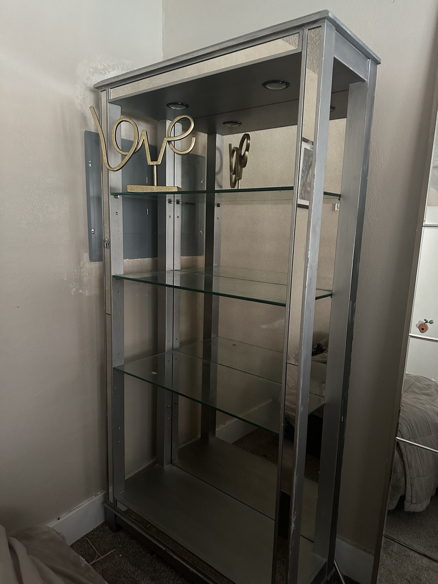 Pier1 Hayworth Mirrored Lit Bookcase 