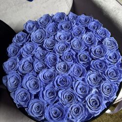 Forever Roses 
