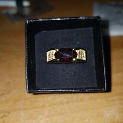 Size 8 Mens Garnet Titanium Ring New