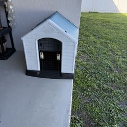 Dog House 