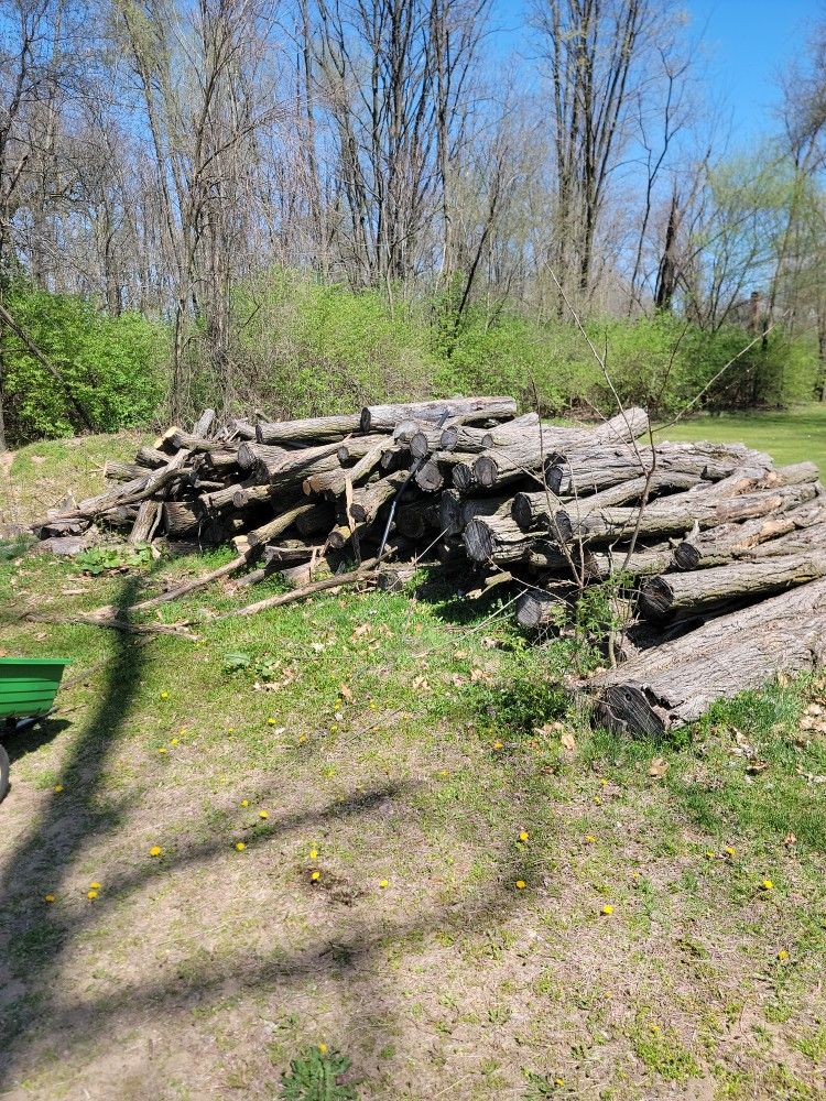 Black Locus Logs