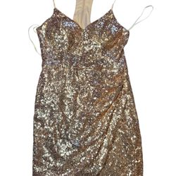 Champaign Sequin Dress