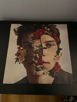 Shawn Mendes Vinyl