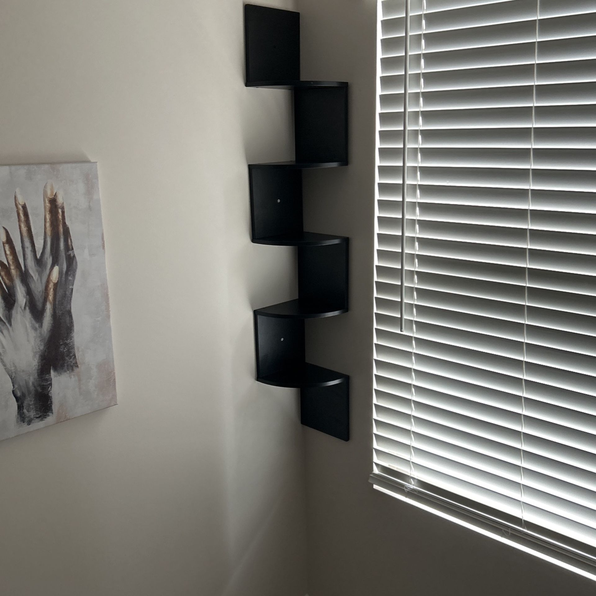 Bookshelves 