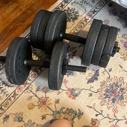 adjustable Weights-comes With Extra Weights 