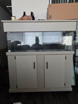 50 Gallon Fish Tank