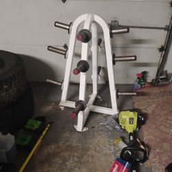 flex fitness / star trac weight tree - olympic plates storage