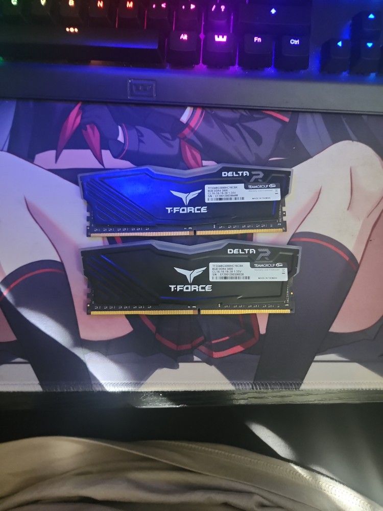 2 8GB DDR4 RAM Sticks