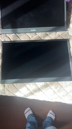Portable monitor