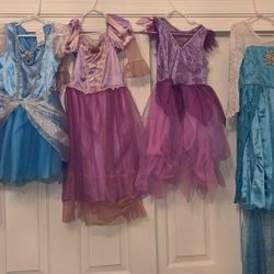 Disney Princess Dresses And Fairy