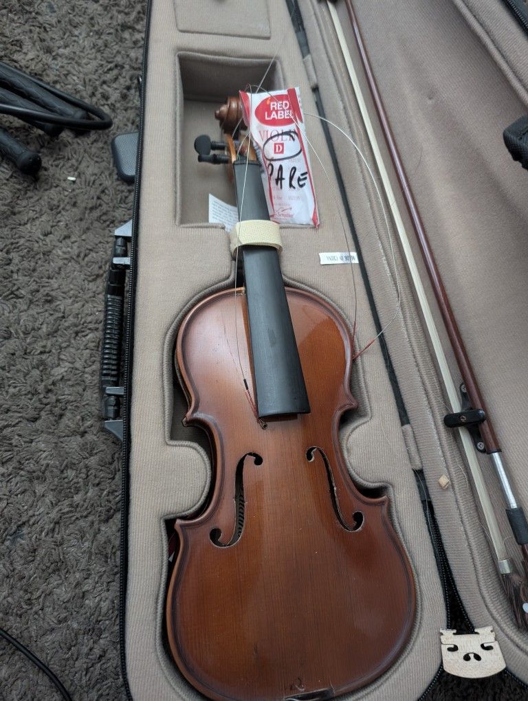 Violin