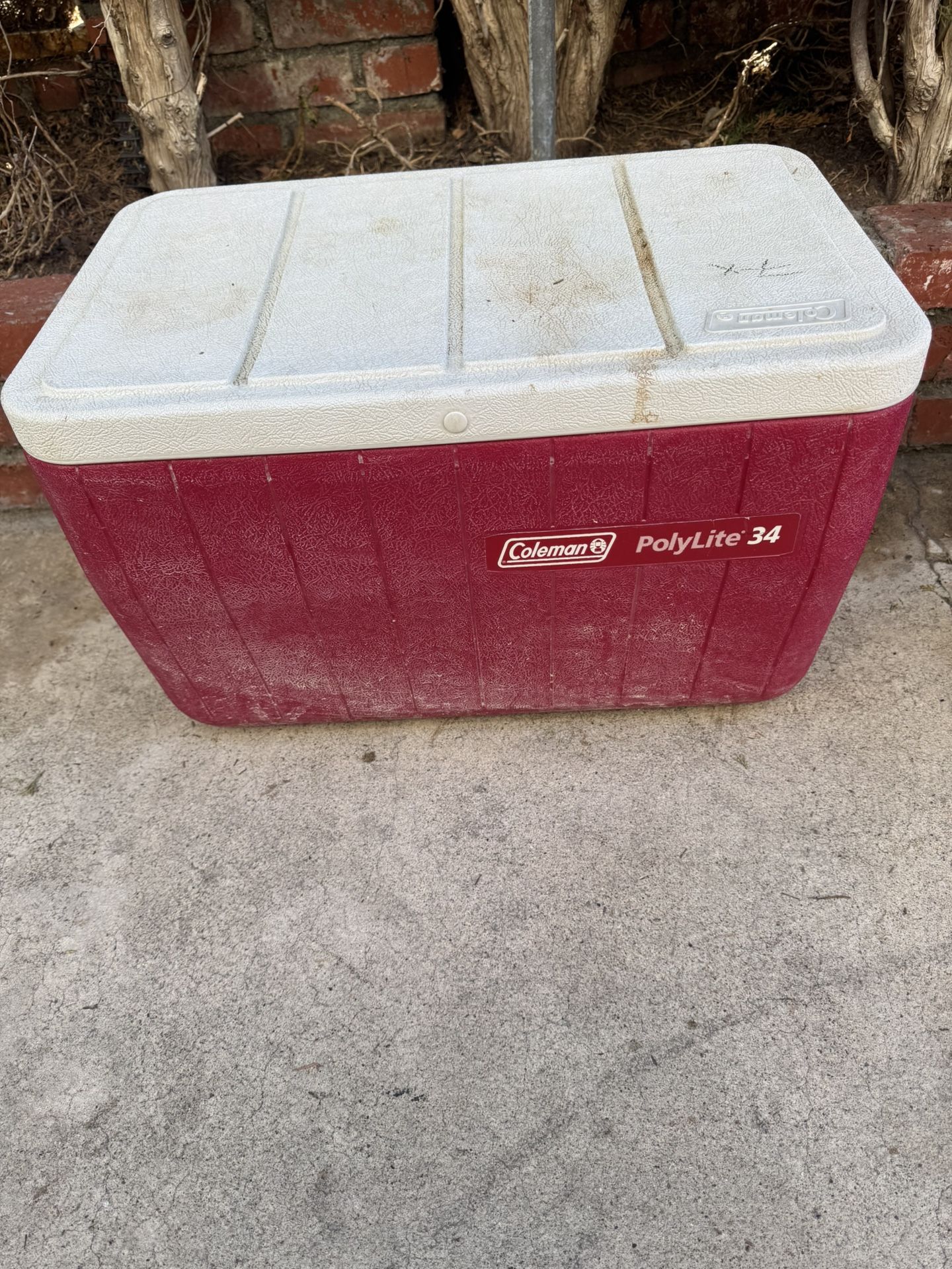 Coleman Polylite 34 Cooler Ice Chest