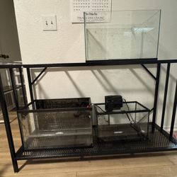 Aquarium Stand And Tanks