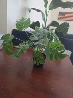 Artificial monstera houseplant