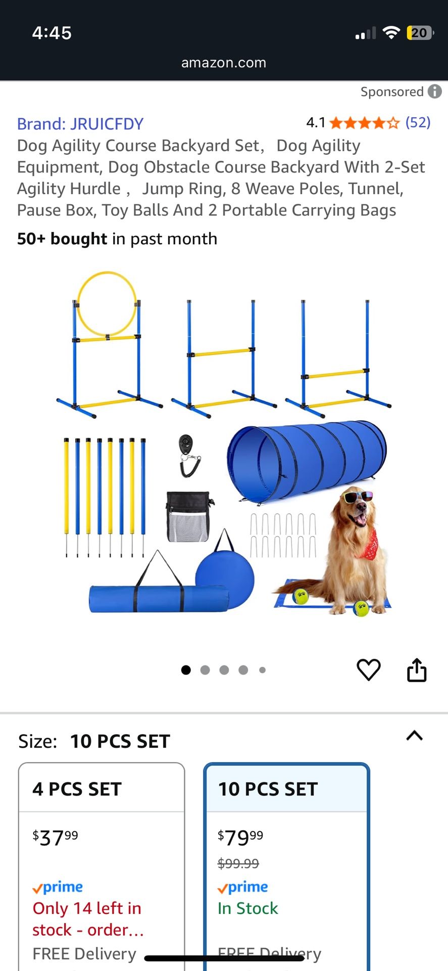 Backyard Dog Agility Set 