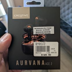 Aurvana Ace 2 Earbuds
