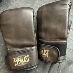 Everlast Boxing Gloves 
