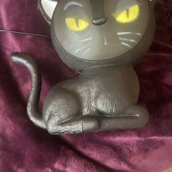 Eek the cat