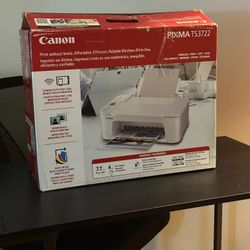 Impresora Canon PiXMA TS3722 - Wireless All - In - One 