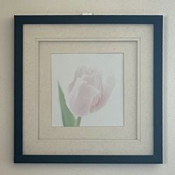     Framed Soft Pink Tulip Print Wall Art