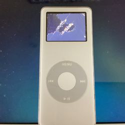 Apple iPod A 1137.  Powers On Screen Snowy. 