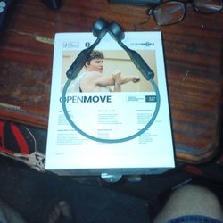 Bluetooth Ear Buds