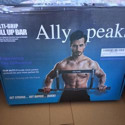 Ally Pull Up Bar
