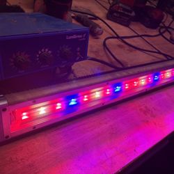 Hydroponic Light Bars