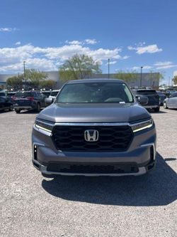 2024 Honda Pilot