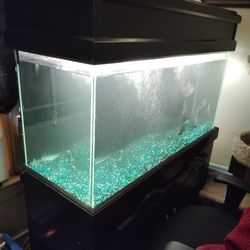 Nice 90 gallon fish tank with canopy top